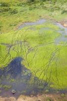 Delta Of The Okavango River 2